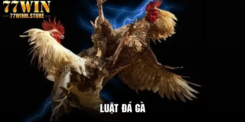 Luật Đá Gà 789WIN - Tổng Hợp Quy Định Mới Nhất 2025